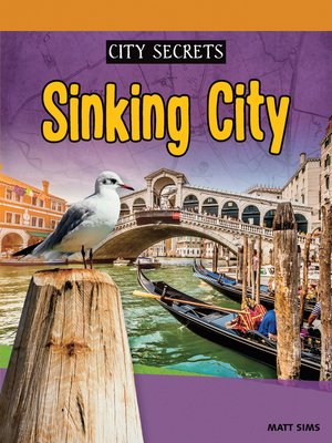 cover image of Sinking City